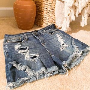 Judy Blue Tulip Shorts